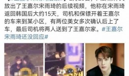 天涯爆料向佐后续视频,幕后故事与情感纠葛