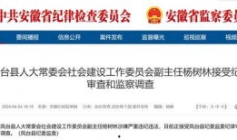 安徽的爆料新闻是什么,揭秘神秘事件背后的真相