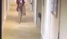 女子爆料酒店被打事件视频,监控视频揭露惊人一幕