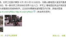 碧桂园爆料原视频,项目真相与内幕曝光