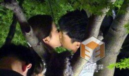 胡歌爆料猎场吻戏视频,一场激情四溢的甜蜜瞬间