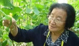 娱乐圈吃瓜熊婶是谁,吃瓜熊婶的真实身份大起底