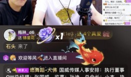 小来哥被爆料视频大全,揭秘背后真相与争议