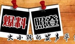 影响力大的新闻爆料平台,最具影响力的新闻爆料平台深度解析