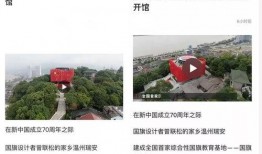 瑞安记者爆料新闻视频下载,新闻视频下载背后的真相